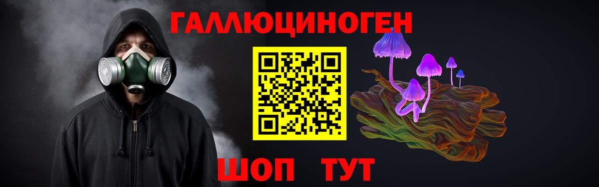 Чебаркуль  Галлюциногенные грибы Psilocybe  Вход с VPN 